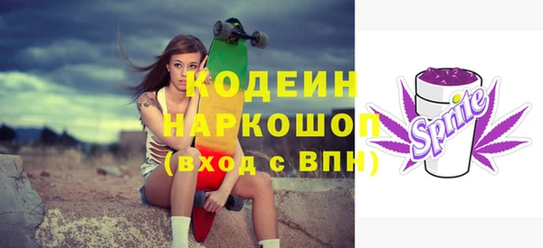 молекула духа Арсеньев