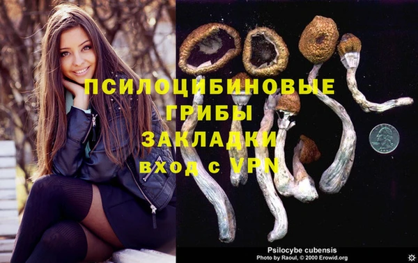 гидропоника Аркадак