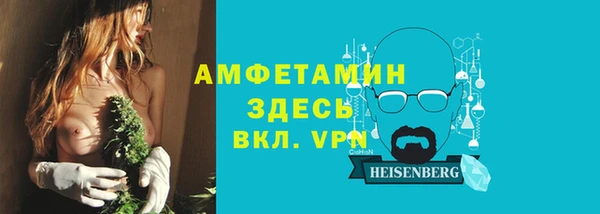 молекула духа Арсеньев