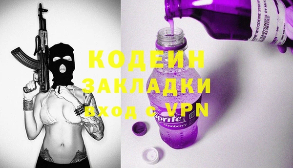 молекула духа Арсеньев