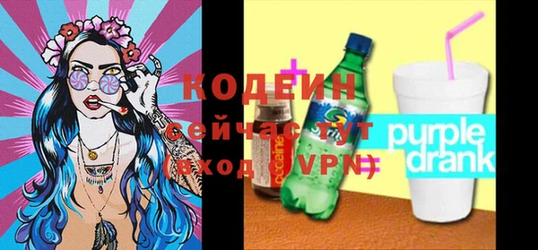молекула духа Арсеньев
