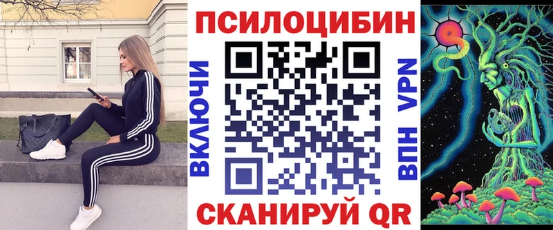купить наркотики сайты  Советская Гавань  Галлюциногенные грибы прущие грибы 